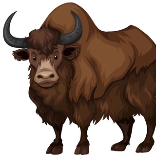 Telegram profile photo for УО ЗУБР