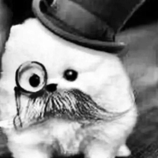 Telegram profile photo for Янлин Chat
