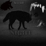 Telegram profile photo for Eternal Nightfall🌙