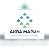 Telegram profile photo for Seafood - Поставщик морепродуктов №1