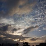 Telegram profile photo for Dark cloud