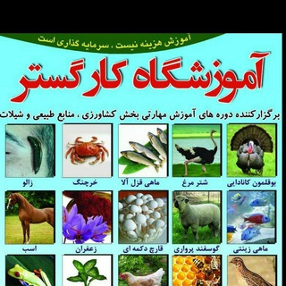Telegram profile photo for کارگستر آموزشگاه کشاورزی کرج. با مدیریت مهندس محمدخانی ۰۹۱۲۴۶۴۴۳۲۳