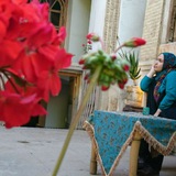 Telegram profile photo for مرا صدا کردی؟