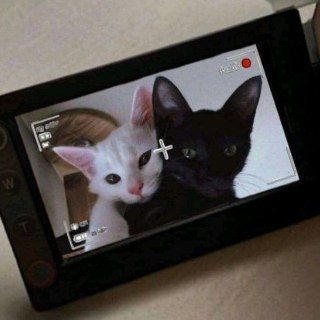 Telegram profile photo for πππππ’π