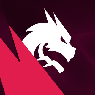 Telegram profile photo for Team Spirit