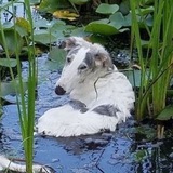 Telegram profile photo for последствия сахарного взрыва