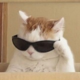Telegram profile photo for ŤĮЌ_ŤỖЌ ŘẸĎÃϺỖ