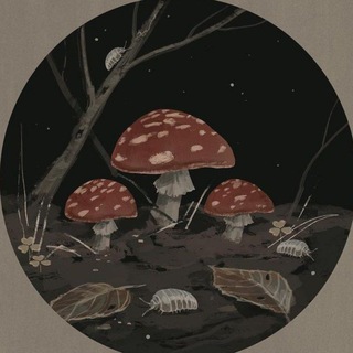 Telegram profile photo for Ꮁᴩυઠⲏυцᴀ ੮ыκ૦ɞκυ