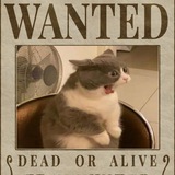 Telegram profile photo for BUKTI BLACKLIST