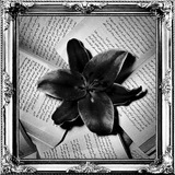 Telegram profile photo for İlmî Hakîkatler | الحقائق العلمية