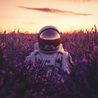 Telegram profile photo for К земле потянуло