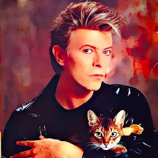 Telegram profile photo for Memes, cats and Bowie