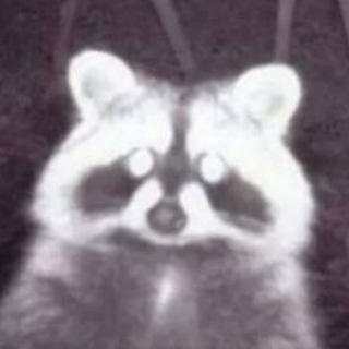 Telegram profile photo for Jina рисует и болтает