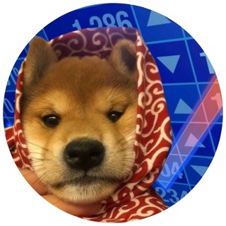 Telegram group profile photo for dogwifscarf | 中文CN 🇨🇳