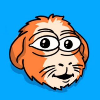 Telegram profile photo for CHOMP portal