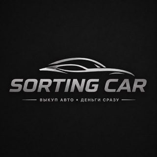 Telegram profile photo for SORTING-CAR 196🇷🇺