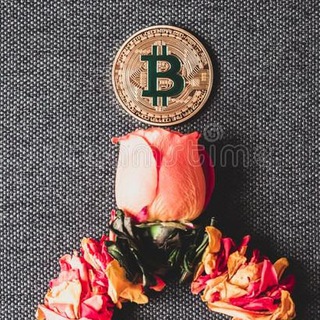 Telegram profile photo for 🧧Free Rose Premium And Crypto Cove VIP🧧