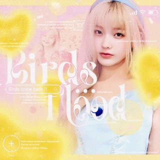 Telegram profile photo for 🔒🔒🔒🔒🔐🔐🔐🔐🔐🔒🔐🔒🔐🔒🔐🔒🔐🔒ꫂ᭪݁ : ⁹⁴𝐛𝐢𝐫𝐝𝐬 𝐟𝐥𝐨𝐨𝐝 𝐢𝐧𝐟𝐨 ☀️