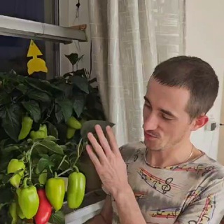 Telegram profile photo for 🥒ЧАТ🍅Огород в квартире 🍅🥒Общение ,советы ,рекомендации.️❤️