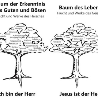 Telegram profile photo for 8️⃣🛁&🌳 Rechtswahl: Verstehen und Handeln