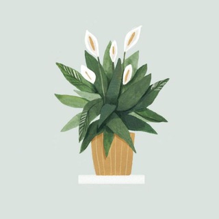 Telegram profile photo for و نِعم الأثر