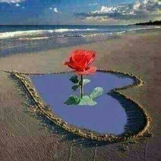 Telegram profile photo for ورود في تربة مالحة🌷