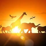 Telegram profile photo for В мире животных