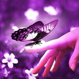 Telegram profile photo for مركز مشاوره ي پرهام