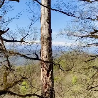 Telegram profile photo for ❤دختر طبیعت🏋️♀️🌲🌴🍁