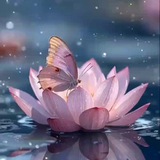 Telegram profile photo for 🪷Гармония Души | Саморазвитие