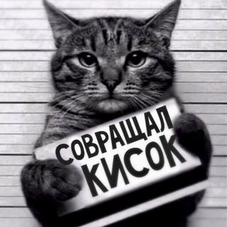 Telegram profile photo for 🄺 🄾 🅃 🄴 🐾 🄿 🄰 🅁 🅃 🅈