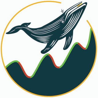 Telegram profile photo for Mad Whale