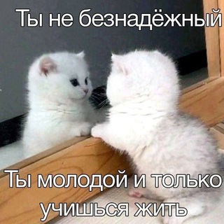 Telegram profile photo for 🪭 Логово Фэй 18+ 🪭