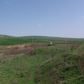 Telegram profile photo for کانال خبری طایفه کلاسر
