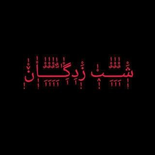 Telegram profile photo for زاپاس شب زدگان