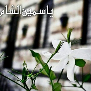 Telegram profile photo for يـَاسـمّين♡الـشّـام🌸