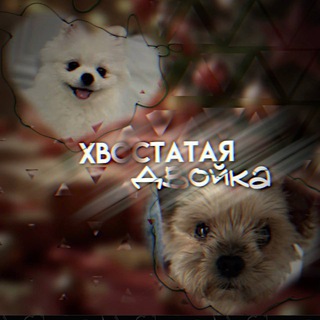 Telegram profile photo for Хʙᴏᴄᴛᴀᴛᴀя дʙᴏйᴋᴀ