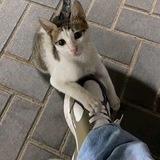 Telegram profile photo for َممْــلكة أيمـنꫝ