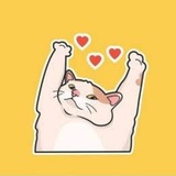 Telegram profile photo for HAPPY CAT