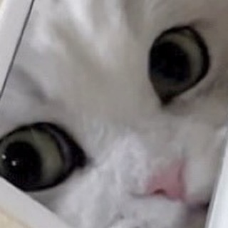 Telegram profile photo for Каты