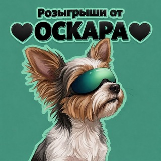 Telegram profile photo for розыгрыши от 🖤ОСКАРА🖤