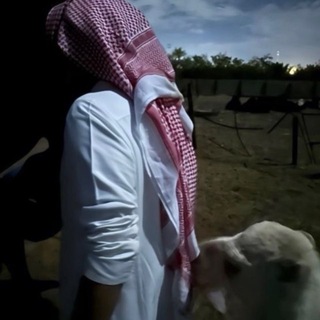 Telegram profile photo for هجيّر .