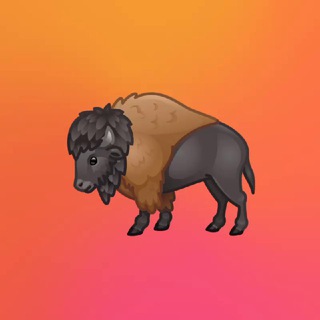 Telegram profile photo for Borana Insiders