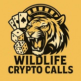 Telegram profile photo for WildLife Crypto Call 🐻