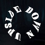 Telegram profile photo for UPSIDE DOWN