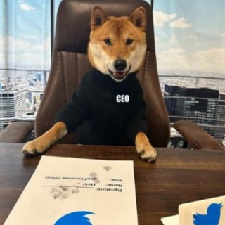 Telegram profile photo for flokiCEO Portal