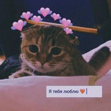 Telegram profile photo for Мама, я влюбилась.