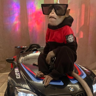 Telegram profile photo for ЯХА СУЕТОЛОГ
