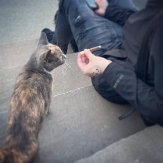 Telegram profile photo for стенки моего подъезда