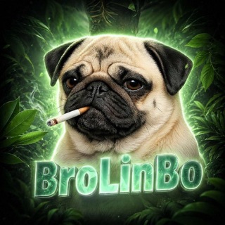 Telegram profile photo for BroLinBo